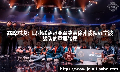 巅峰对决：职业联赛冠亚军决赛徐州战队vs宁波战队的重要较量