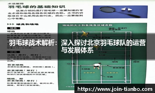 羽毛球战术解析：深入探讨北京羽毛球队的运营与发展体系